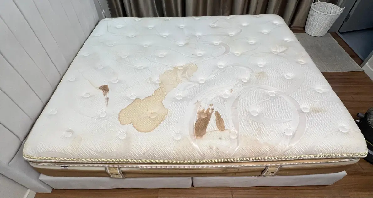 Mattress Deep Clean - Before