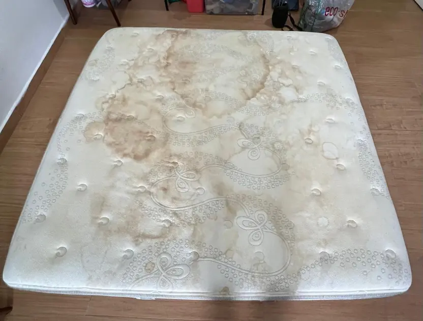 Mattress Deep Clean - Before